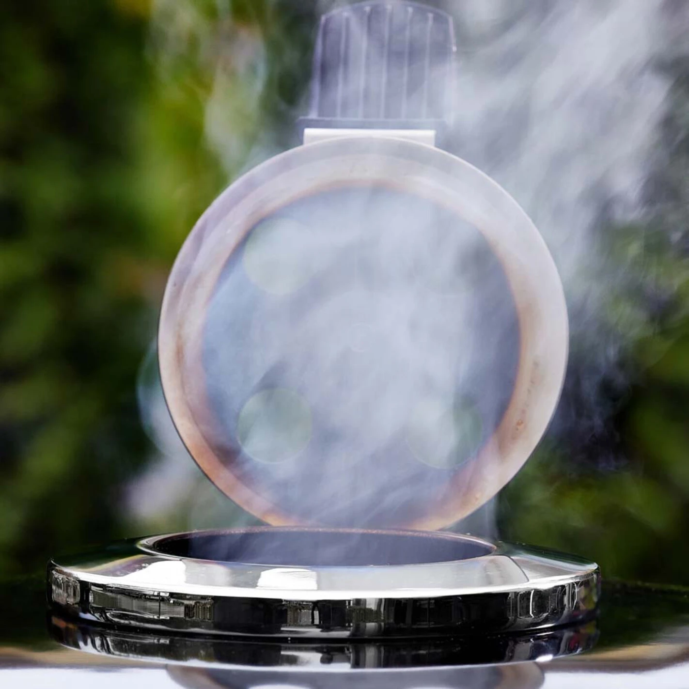 Barbecue Kamado Summit S6 - Weber 8 Barbecue Kamado Summit S6 - Weber - Image 6