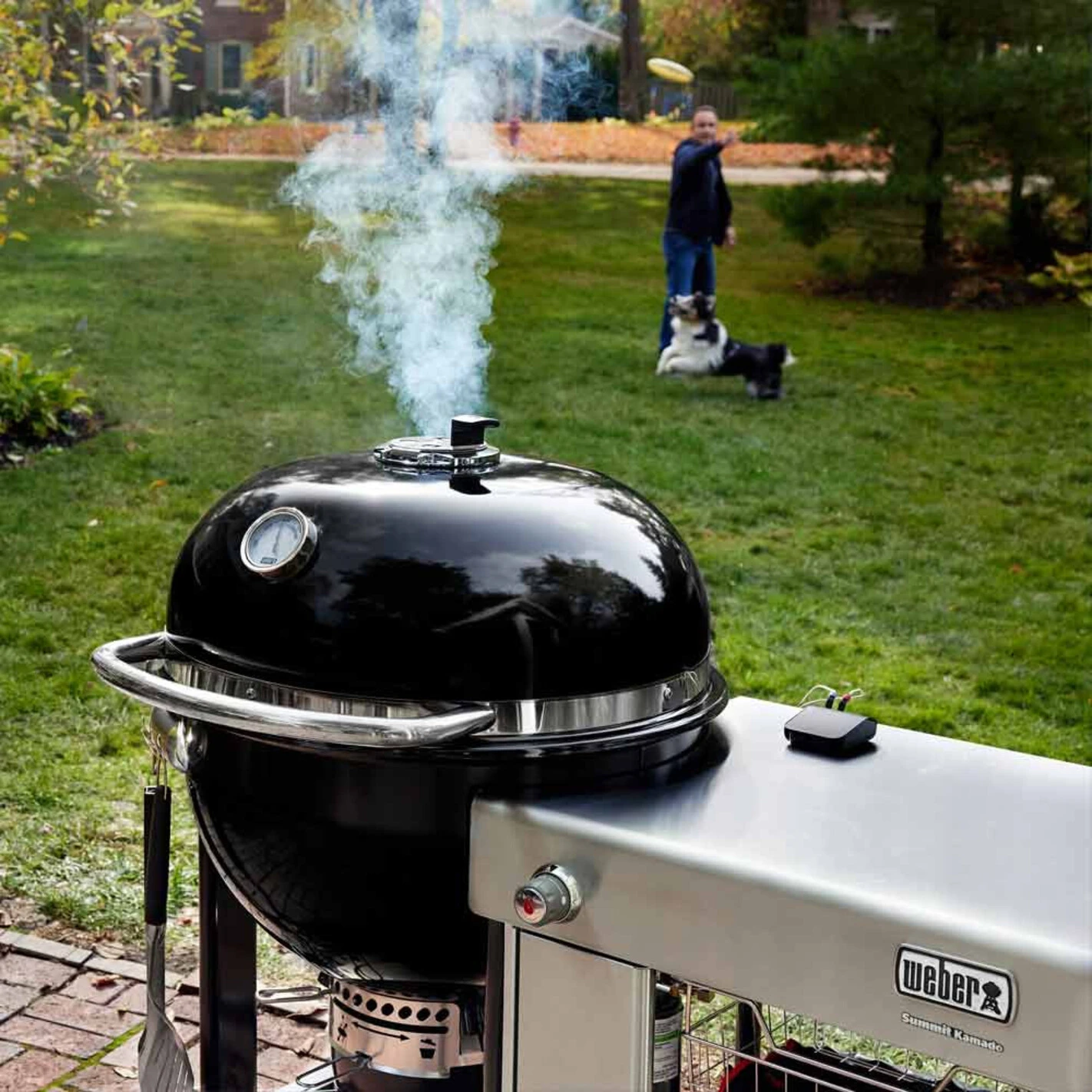 Barbecue Kamado Summit S6 - Weber 12 Barbecue Kamado Summit S6 - Weber - Image 10