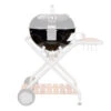 Cuve Barbecue Ascona 570 (avant 2014) - Outdoorchef -Outdoorchef Shop cuve ascona 570 avant 2014 2020000023395