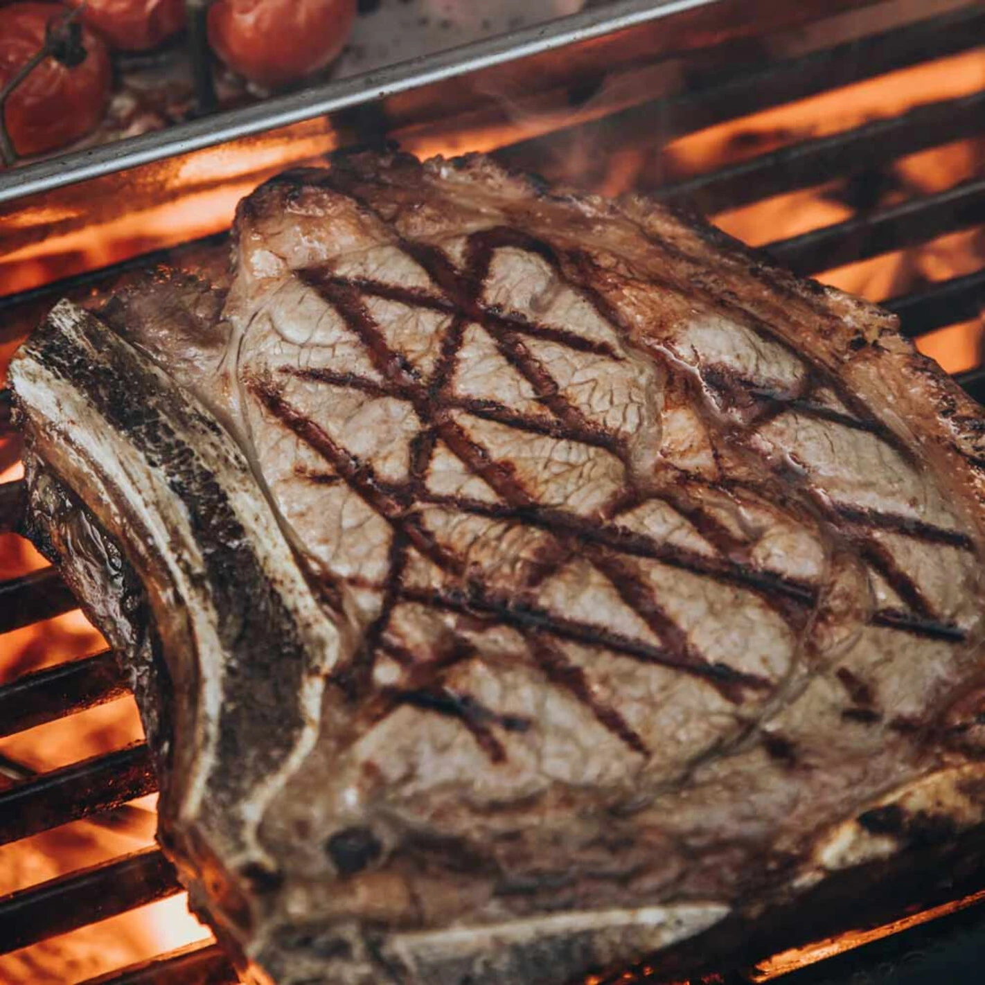 Demi Grille Fonte CLASSIC - Monolith* 6 Demi Grille Fonte CLASSIC - Monolith* - Image 4