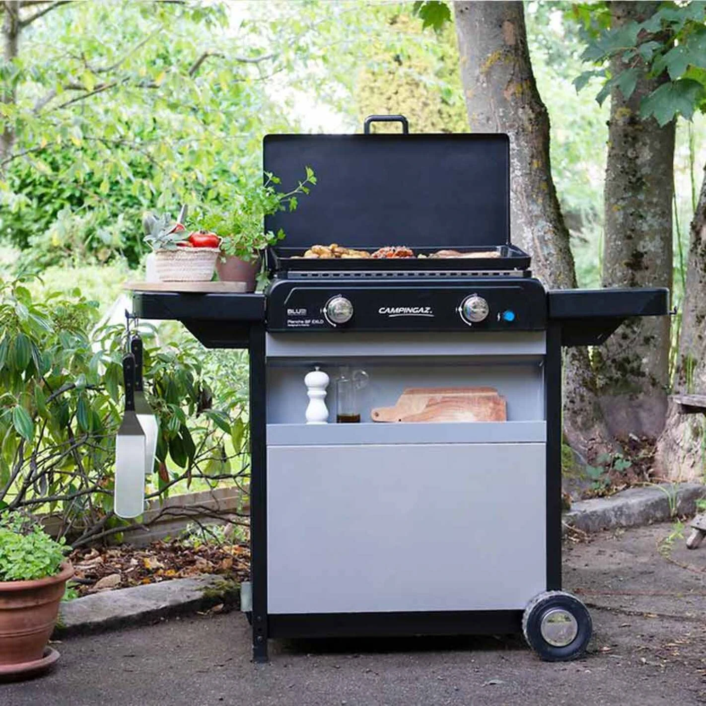 Front Page -Outdoorchef Shop plancha gaz blue flame exld chariot campingaz 3138522114398 2